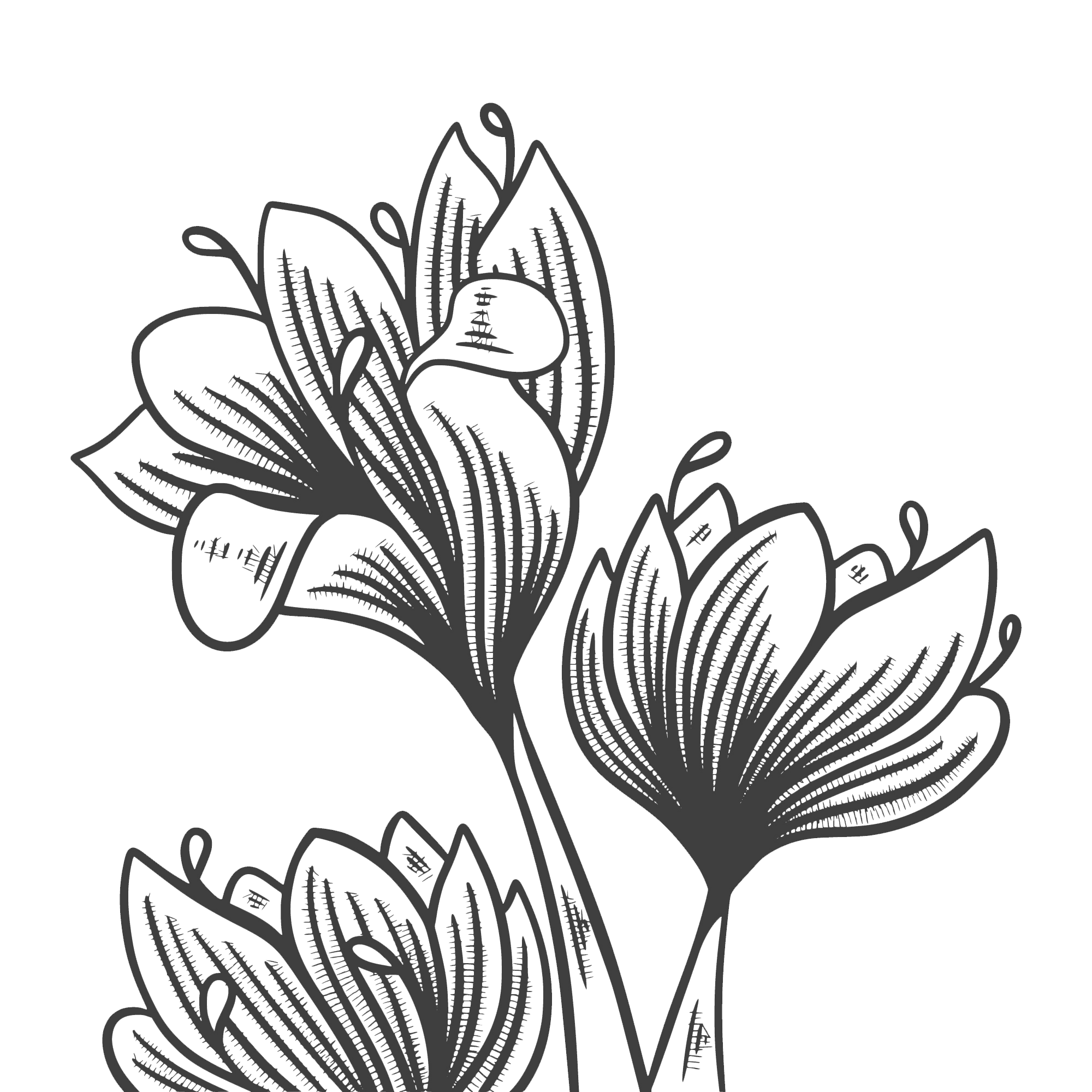 Flower Graphic